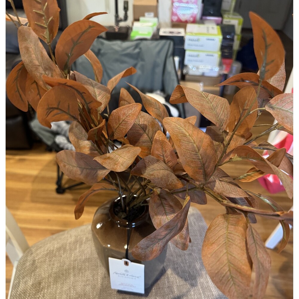 Hearth & Hand Magnolia Artificial Eucalyptus Arrangement Browb 22” Farmhouse